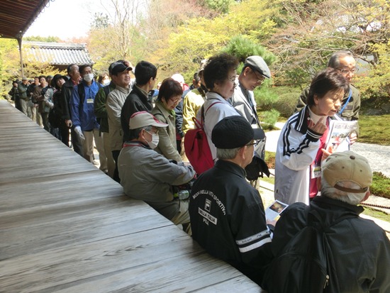 3742-13.4.11天授庵　枯山水庭園から移動.jpg